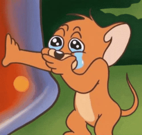 tom-and-jerry.gif