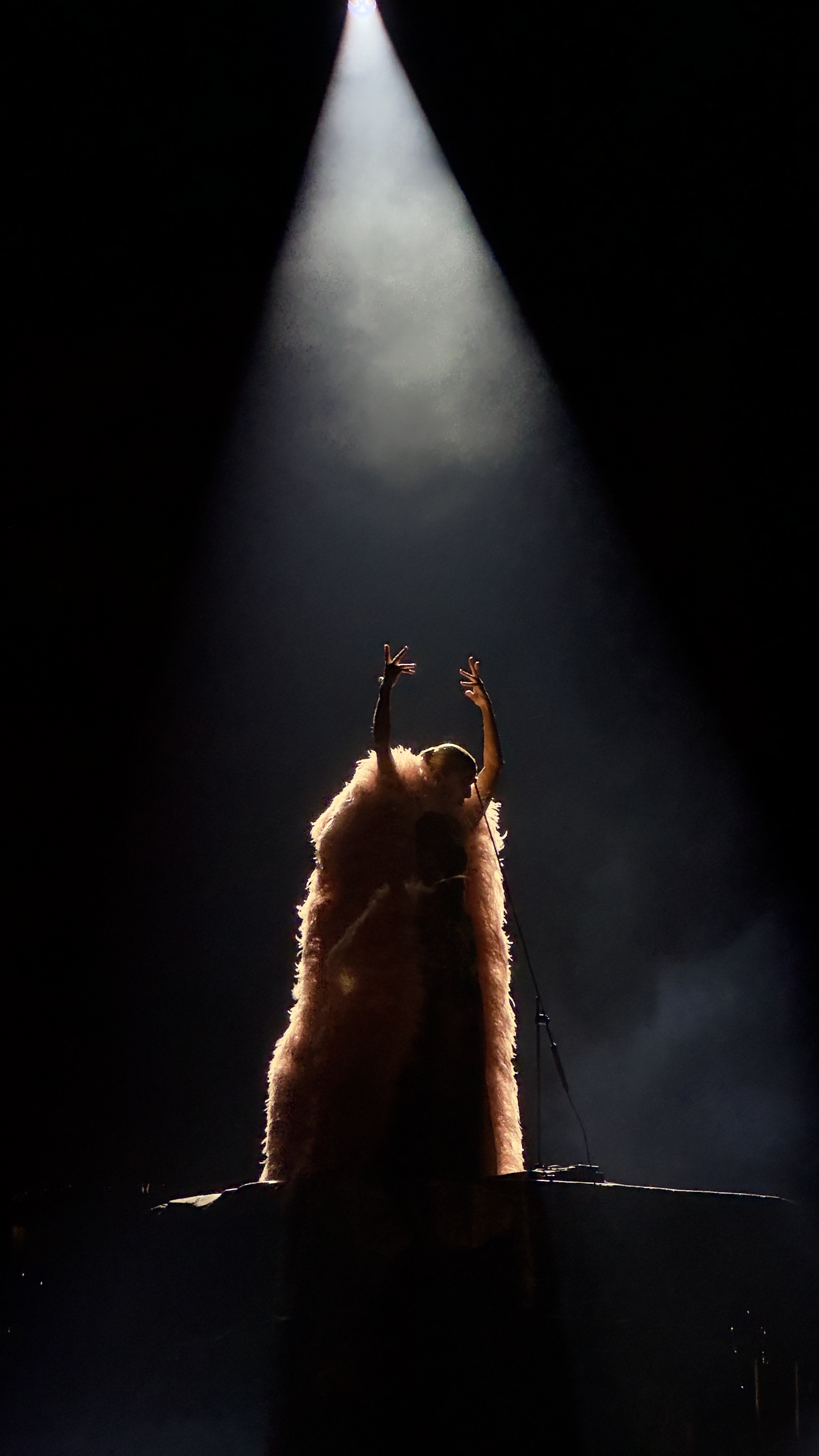 IMG_7192.jpeg